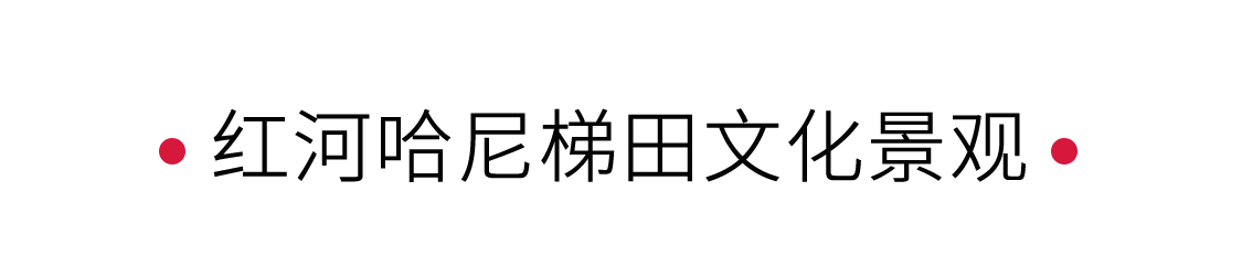 紅河哈尼梯田文化景觀：大自然的調(diào)色盤 | 手機(jī)里的中國世界遺產(chǎn)