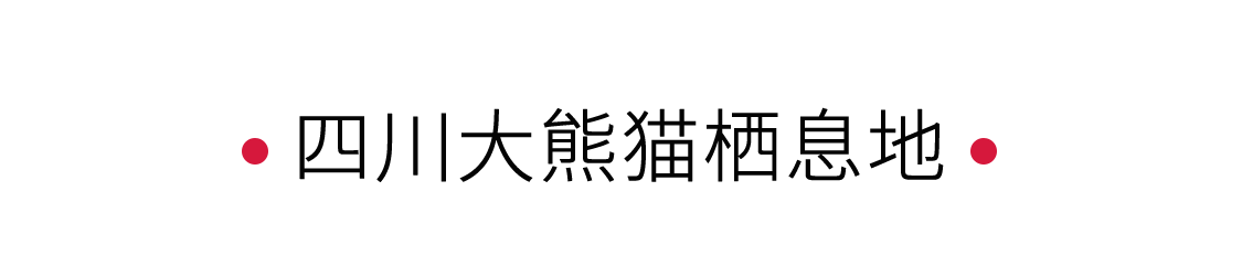 四川大熊貓棲息地：一個(gè)“活的博物館” | 手機(jī)里的中國(guó)世界遺產(chǎn)