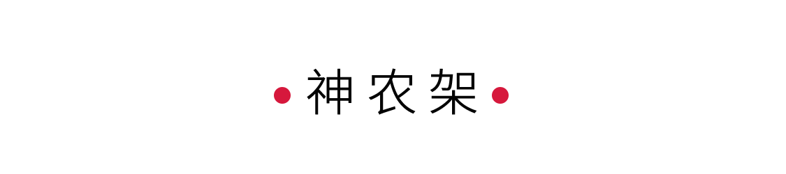 探秘生命秘境神農(nóng)架 | 手機(jī)里的中國世界遺產(chǎn)