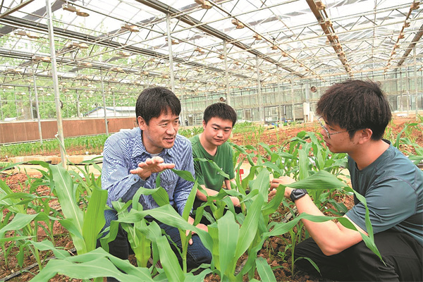 Japanese professor honored for his work