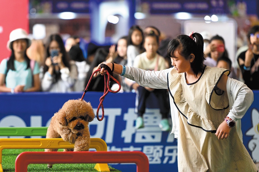 Pet economy purrs ahead as cat, pooch cafes spread