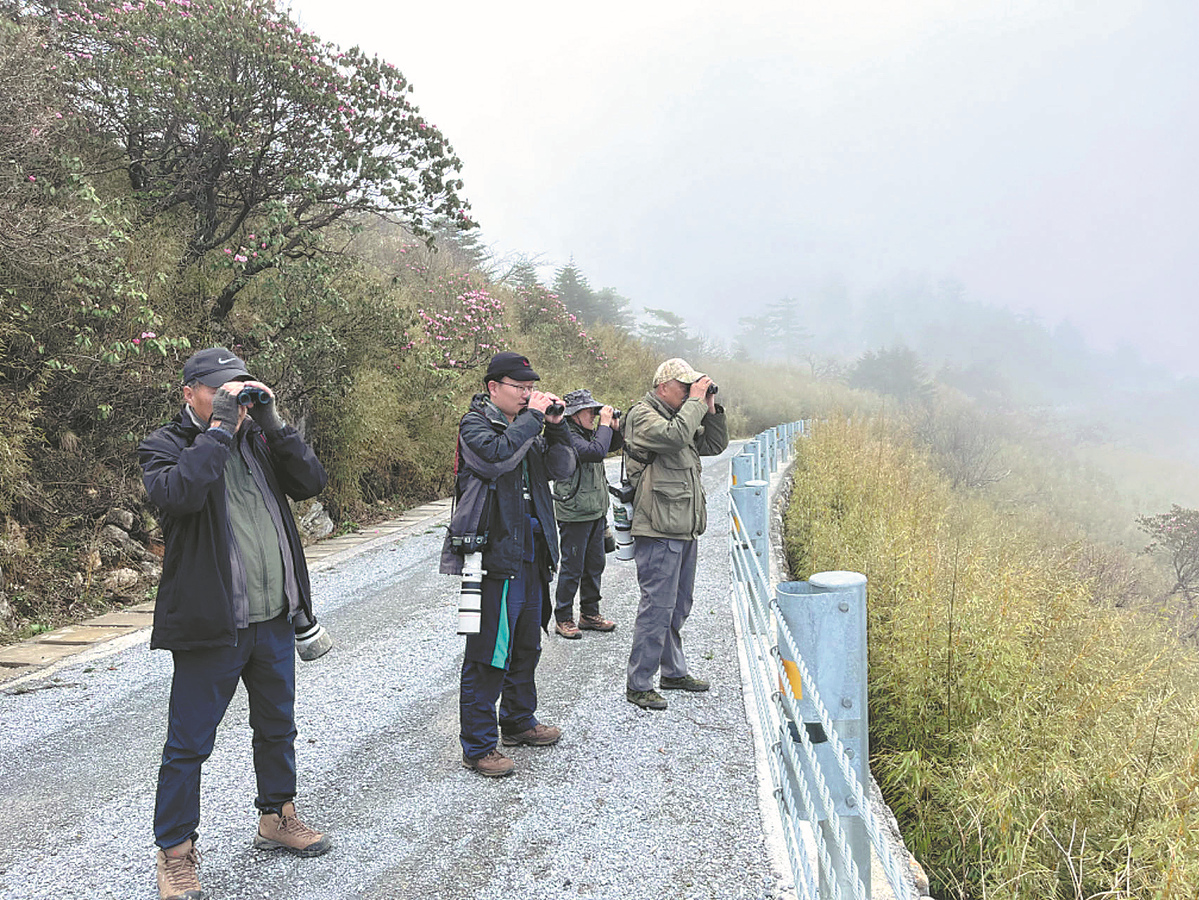 Number of bird-watchers on Chinese mainland skyrockets to record high