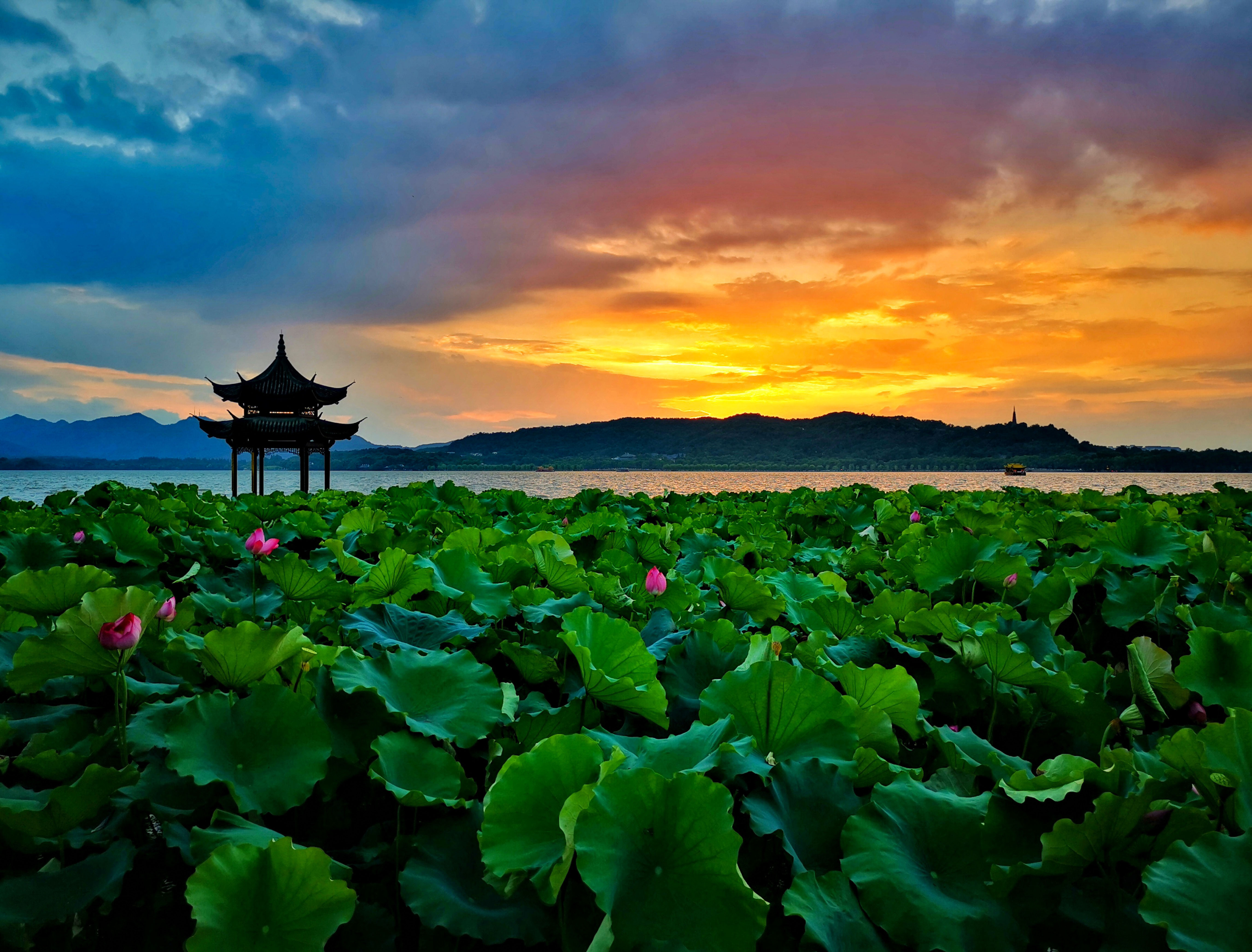 西湖：湖心印月，如畫江南 | 手機(jī)里的中國世界遺產(chǎn)