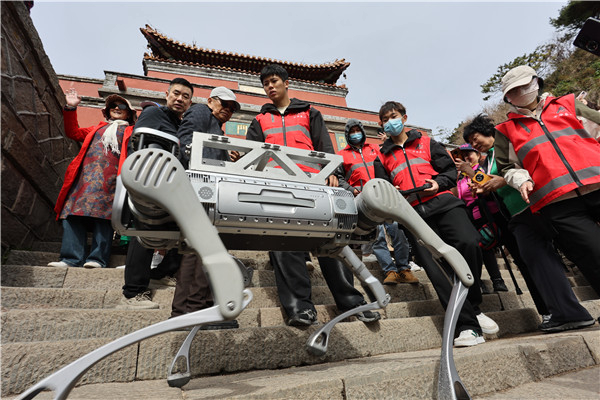 Robot dog becomes highlight of Mount Tai